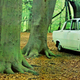 Image for article titled Blip: A Wild Rover, Spotted In The Woods